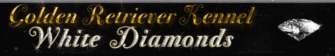 Banner Golden Retriever Kennel White Diamonds